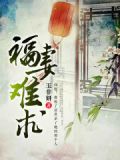 宠妻难求免费阅读