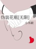 伪装花瓶[无限]