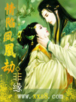 情陷凤凰劫(全本)