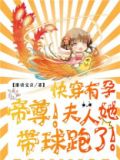 快穿有孕:帝尊,夫人她带球跑了