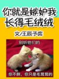 你就是嫉妒我长得毛绒绒