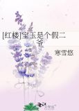 [红楼]宝玉是个假二爷
