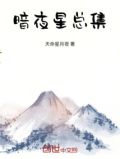 暗夜星总集
