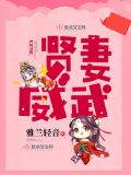 贤妻威武 小说
