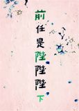 前任是陛陛陛下