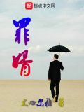 罪婿复仇叶辰免费阅读无弹窗