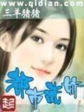 女总裁的王牌高手百度百科