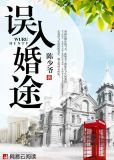 误入婚途