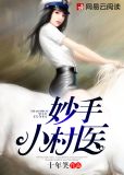 妙手小村医风林