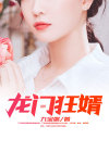 龙门狂婿