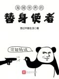 海贼世界的替身使者小说