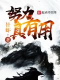 努力真有用吗