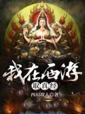 我在西游取真经