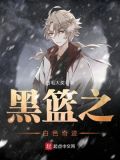 黑篮之白色奇迹下载