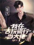 鉴宝:我在古玩瓷行当大佬