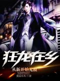 狂龙在乡:从新开始无敌