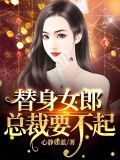 替身女郎,总裁要不起