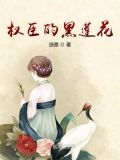 权臣的黑莲花