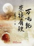 崇祯有艘万吨轮起点中文网