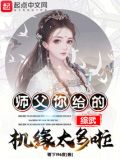 综武:师父!你给的机缘太多啦!