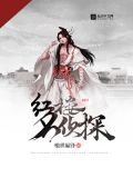 红楼名侦探番外
