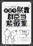朕靠群臣当紫薇星(古穿今)
