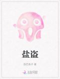 盐盗