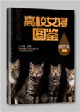 高校恋爱图鉴