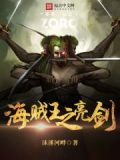 海贼王之剑客