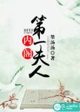 内阁第一夫人小说
