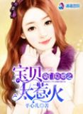 豪门隐婚:帝少的千金宝贝