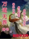 万道界尊 小说