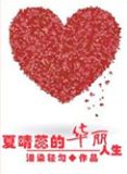 重生之夏晴蕊的华丽人生