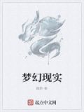 网友梦幻现实