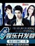 内地娱乐开发商小说
