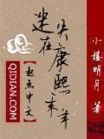 迷失在康熙末年全文免费阅读