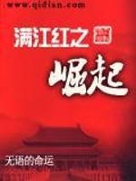 满江红之崛起TXT