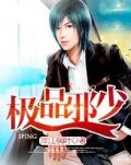 绝品邪少叶潇