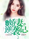 重生八零之娇妻逆袭百度网盘