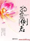 独宠侧君女尊全文免费阅读