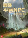 最强平民宝可梦阵容