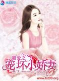 霸爱之宠坏小娇妻