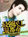 最强民工混都市 小说