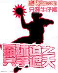 霸球道小说