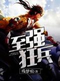 至强狂兵岁月流觞