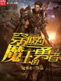 穿越为魔王的勇者小说