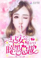 甜心v5早安暗黑总裁 小说
