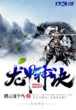 龙甲神诀 小说
