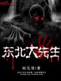 东北大先生电视剧