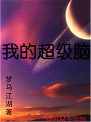 我的超级脑 小说